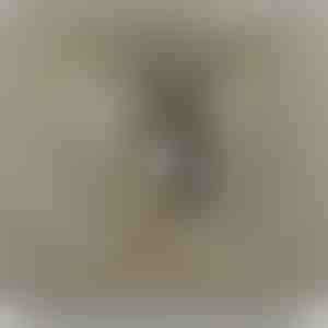 De la părinți pentru fiică | NAMI