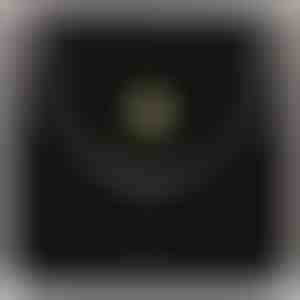 Pentru viitorul tată | THEO