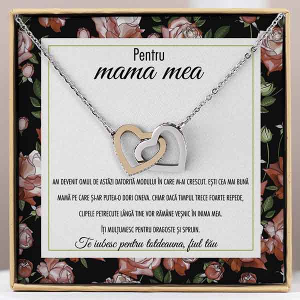 RO149_PAISLEY.jpg (1)