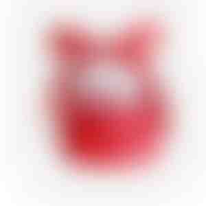 Cutie de Crăciun pentru cadouri | SANTABOX