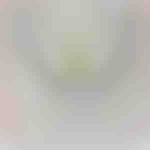 De la nepoți pentru bunic | LANCE