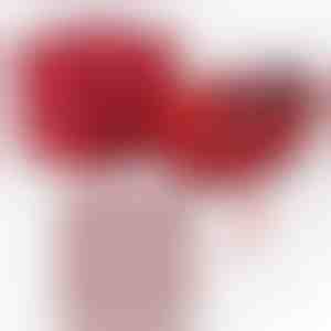 De la iubit pentru iubită | JULIET_HEARTS_APPLEROSE