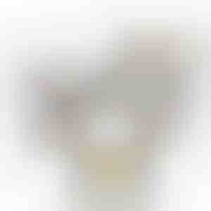 Cutie albă cu trandafir | WHITEBOX