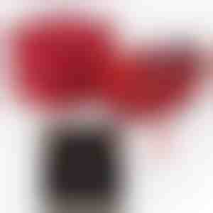 De la soț pentru soție | ALAYA_CLOVERIE_APPLEROSE