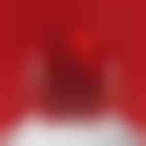 Cutie rotativă pentru bijuterii în formă de urs | ROSBEAR