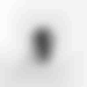 Ceas barbatesc negru | CHRONOMASTER