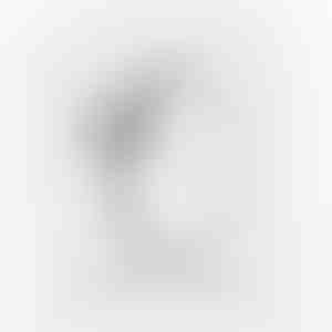 Inel de promisiune | HEARTISO