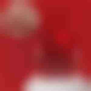 Colier de aur și cutie rotativă pentru bijuterii în formă de ursuleț | LUVION_ROSBEAR