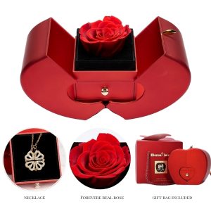 Colier 2 în 1 și cutie cadou | CLOVERIE_APPLEROSE