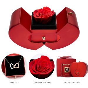 Colier într-o cutie cadou | HEARTS_APPLEROSE