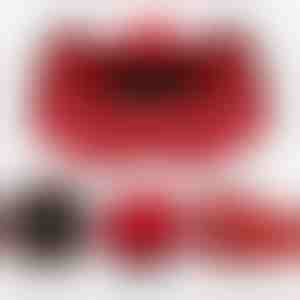 Colier într-o cutie cadou | HEARTS_APPLEROSE