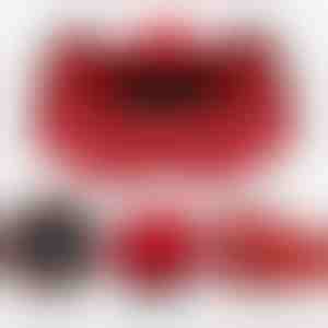 Colier într-o cutie cadou | LK_APPLEROSE