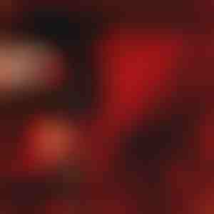 Cadoul care exprimă iubirea | LOVEBEAR