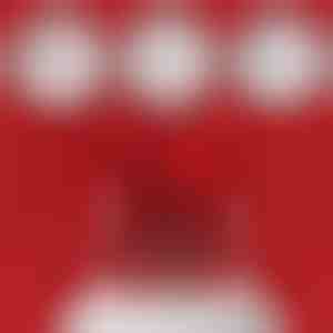 Inel de promisiune și cutie pentru bijuterii în formă de urs | HEARTISO_ROSBEAR